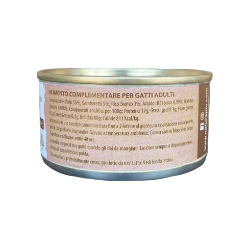 copy of 
